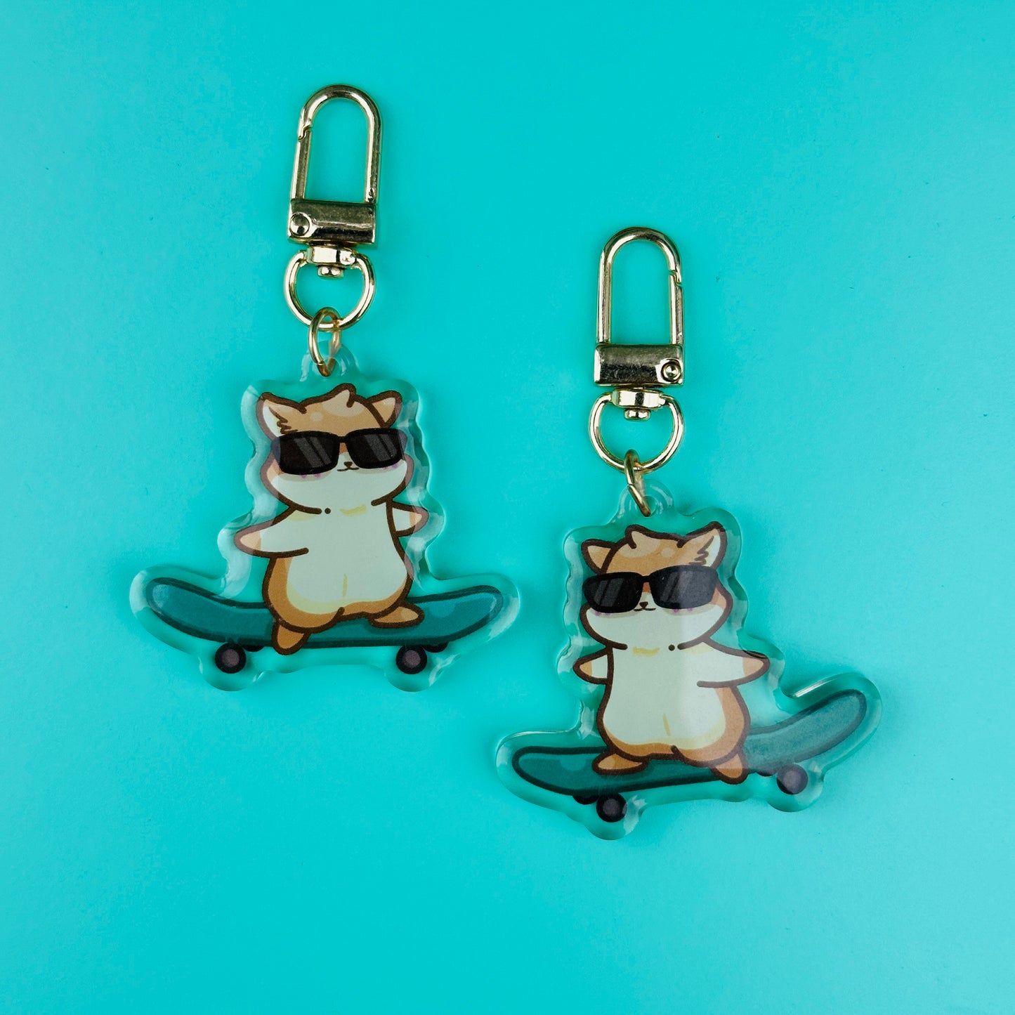 Hemmy the Hamster, Skateboarder