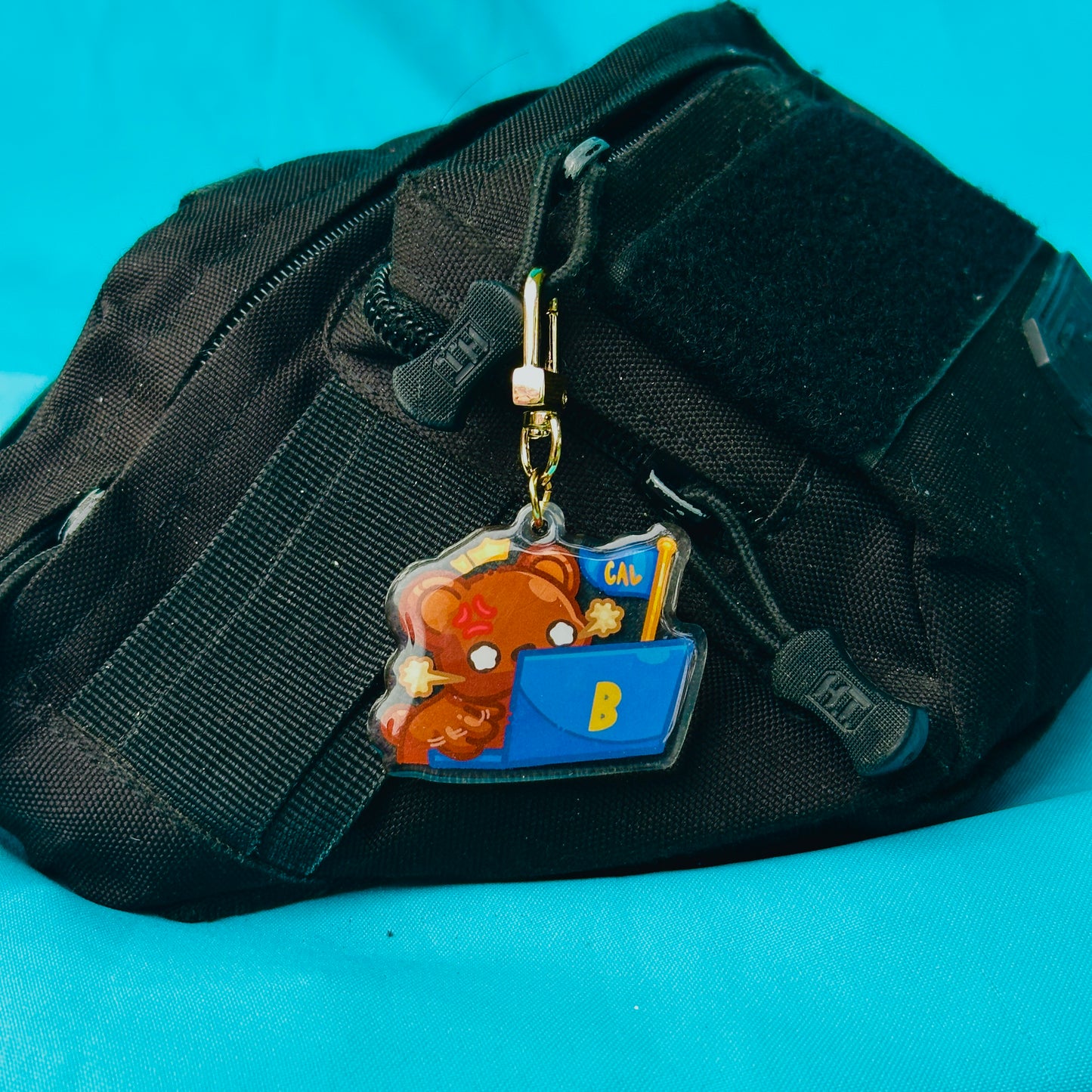 Bear Mashing on Laptop (based on UC Berkeley)