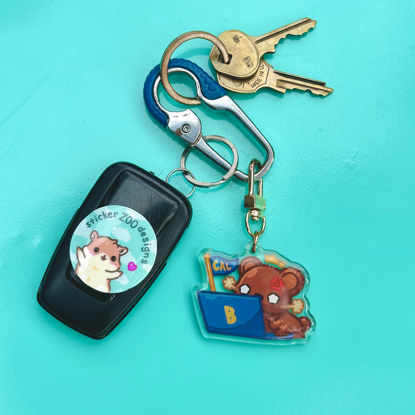 Bear Mashing on Laptop (based on UC Berkeley)