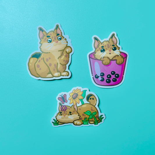 Bobcats inspired by UC Merced (Ver. 1)